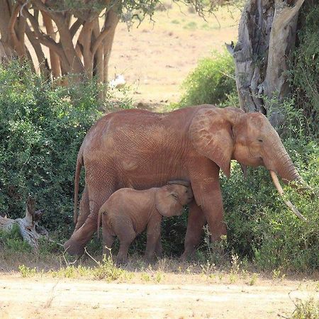 مبيت وإفطار واتامو Nyumba Ya Afrika المظهر الخارجي الصورة