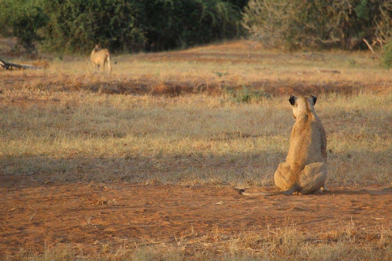 مبيت وإفطار واتامو Nyumba Ya Afrika المظهر الخارجي الصورة