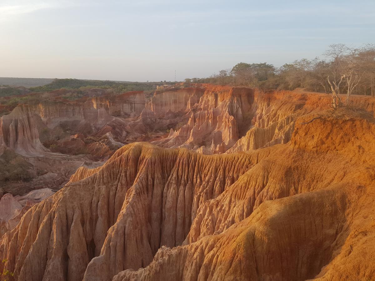 مبيت وإفطار واتامو Nyumba Ya Afrika المظهر الخارجي الصورة
